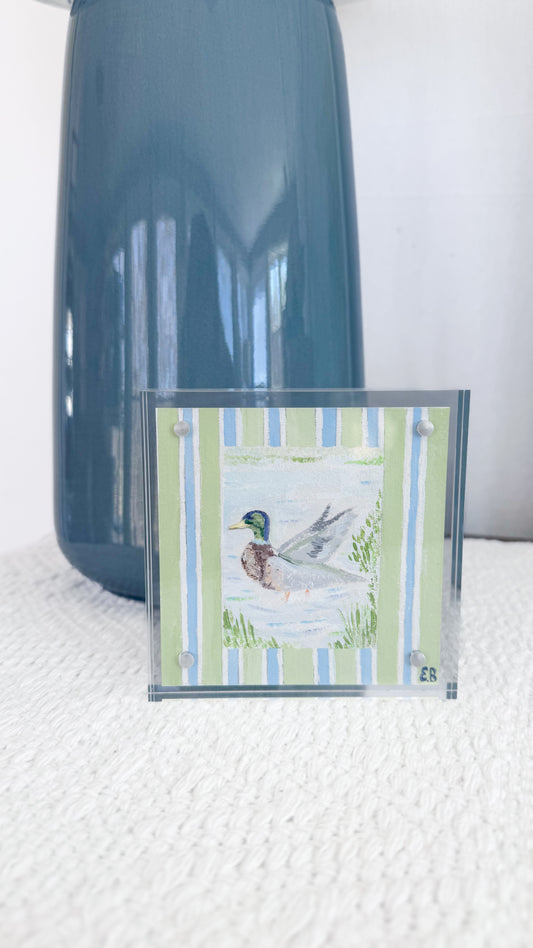 Mallard On The Water