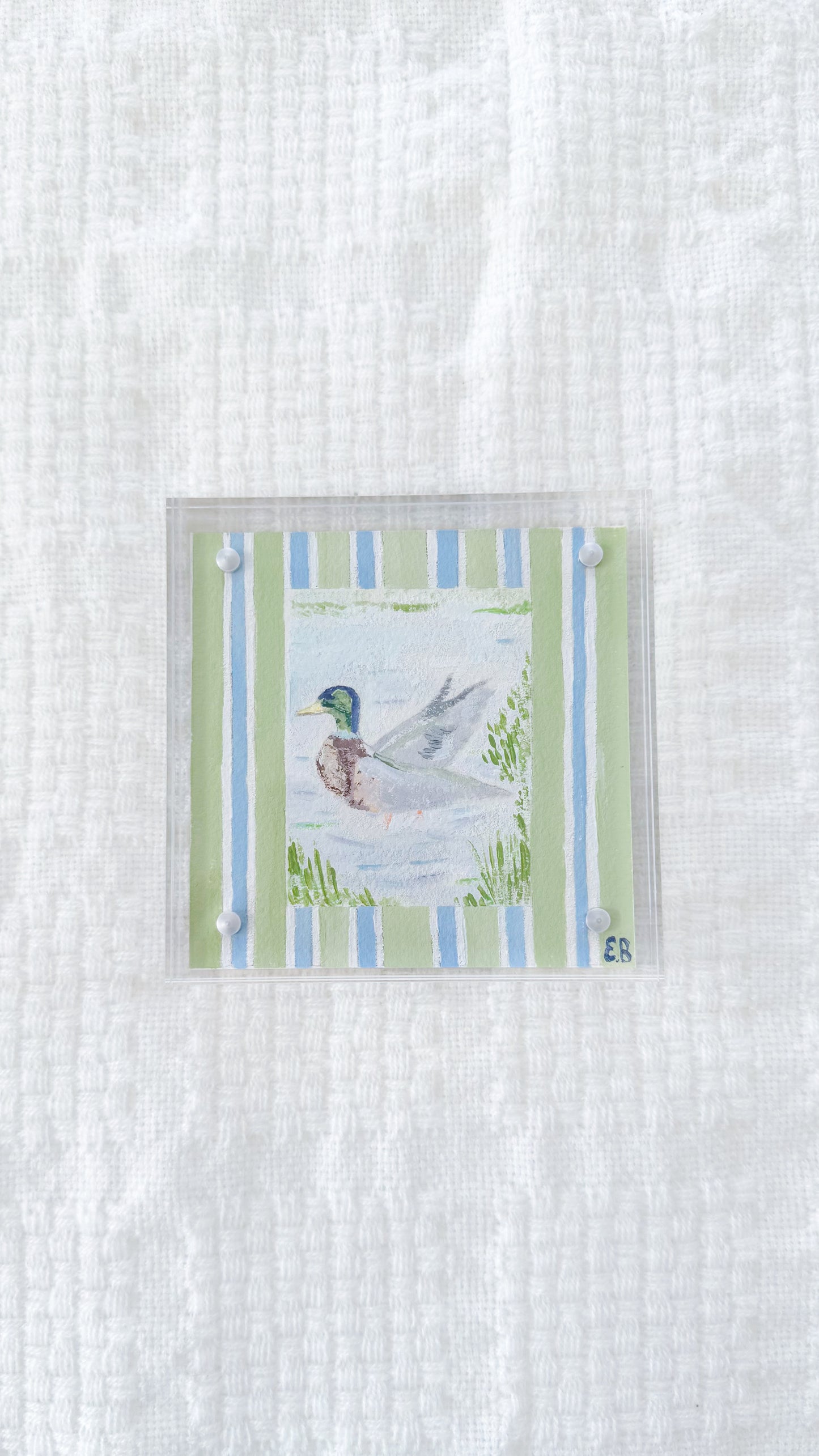 Mallard On The Water