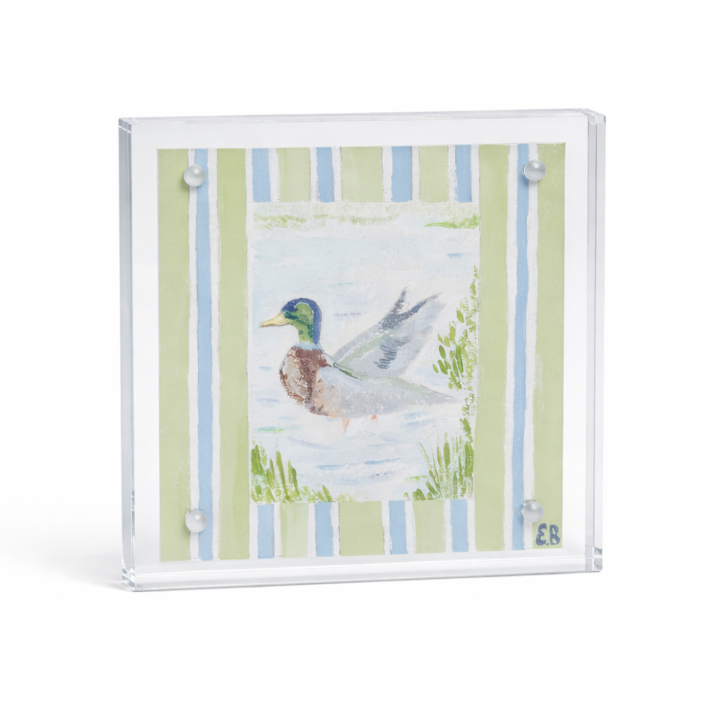 Mallard On The Water