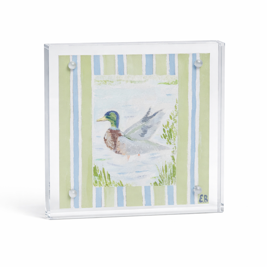 Mallard On The Water